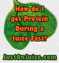 How do I get Protein During a Juice Fast